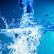 Биоудобрение «BioGrow»