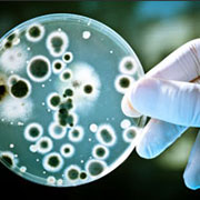 Биоудобрение «BioGrow»