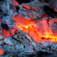 Биоудобрение «BioGrow»