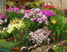 Биоудобрение «BioGrow»