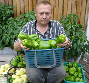 Биоудобрение «BioGrow»